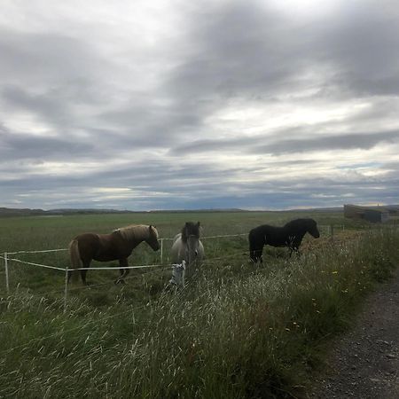 Вилла Þrandarholt Hreppholar Экстерьер фото