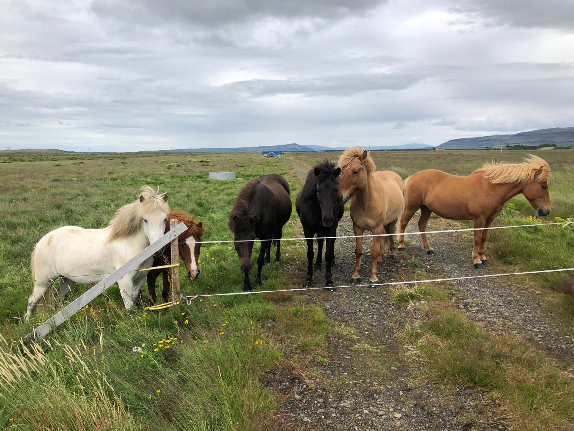 Вилла Þrandarholt Hreppholar Экстерьер фото